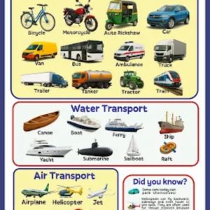 Means of transport