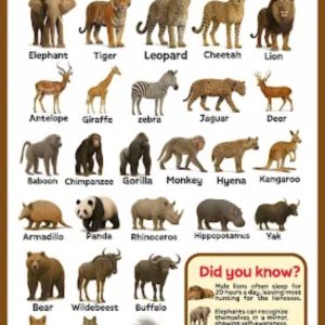 Wild animals